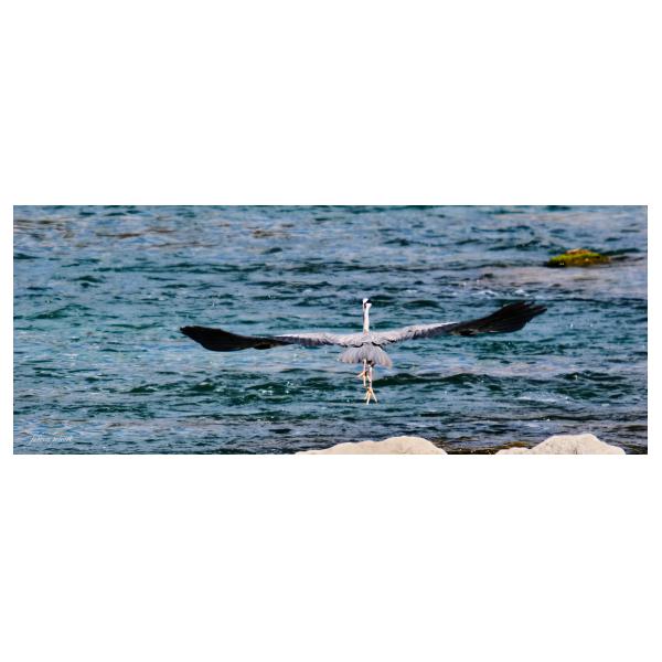 PHOTO84, CLUB, 84 , LUBERON